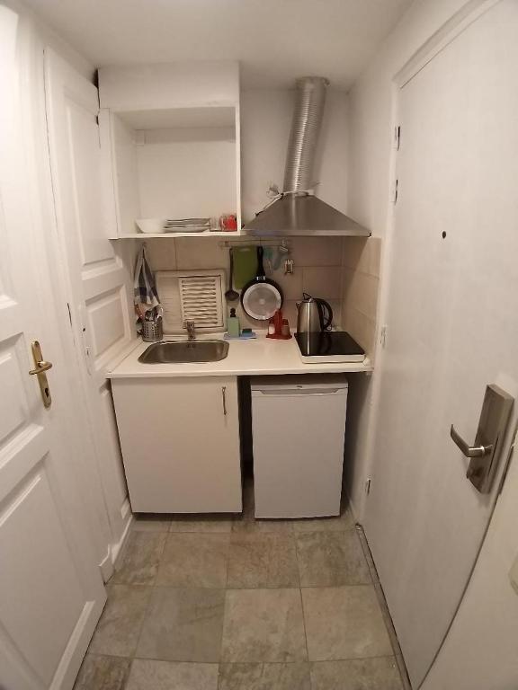 Kuchyňa alebo kuchynka v ubytovaní Melisa Apartment