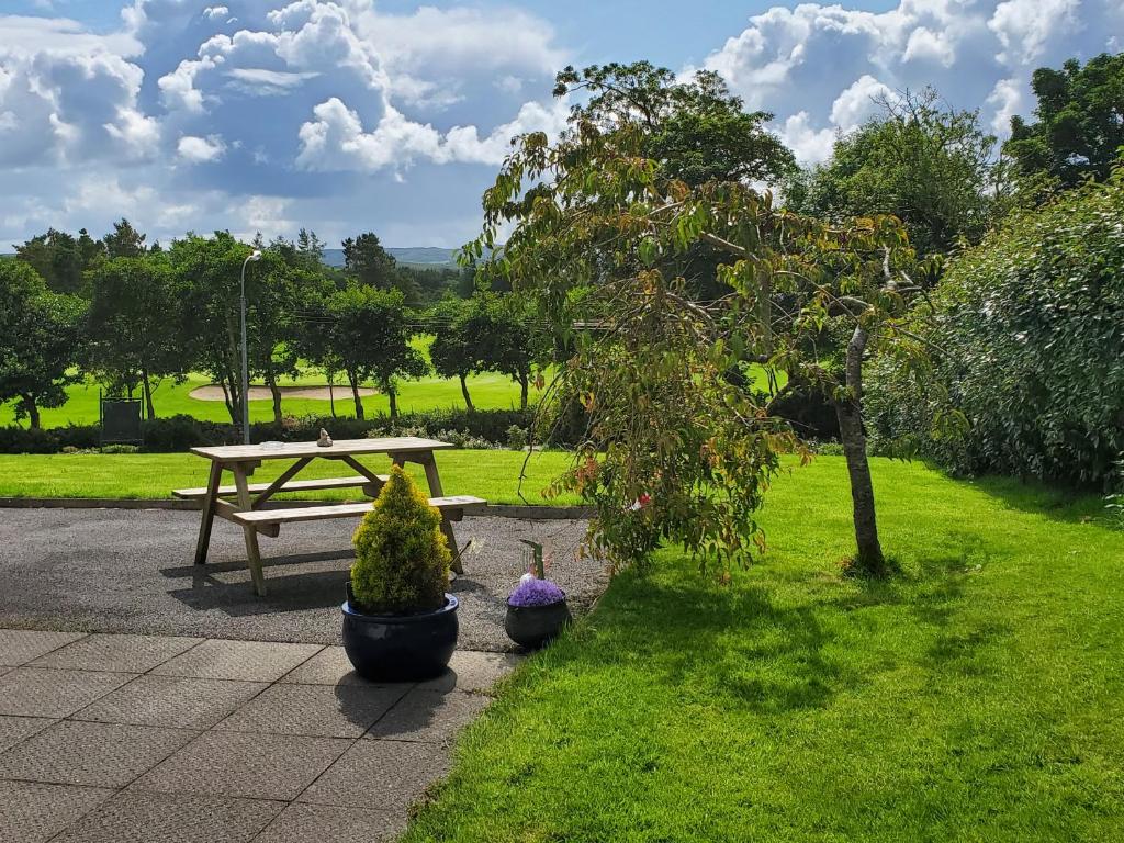 Zahrada ubytování Greenside B&B