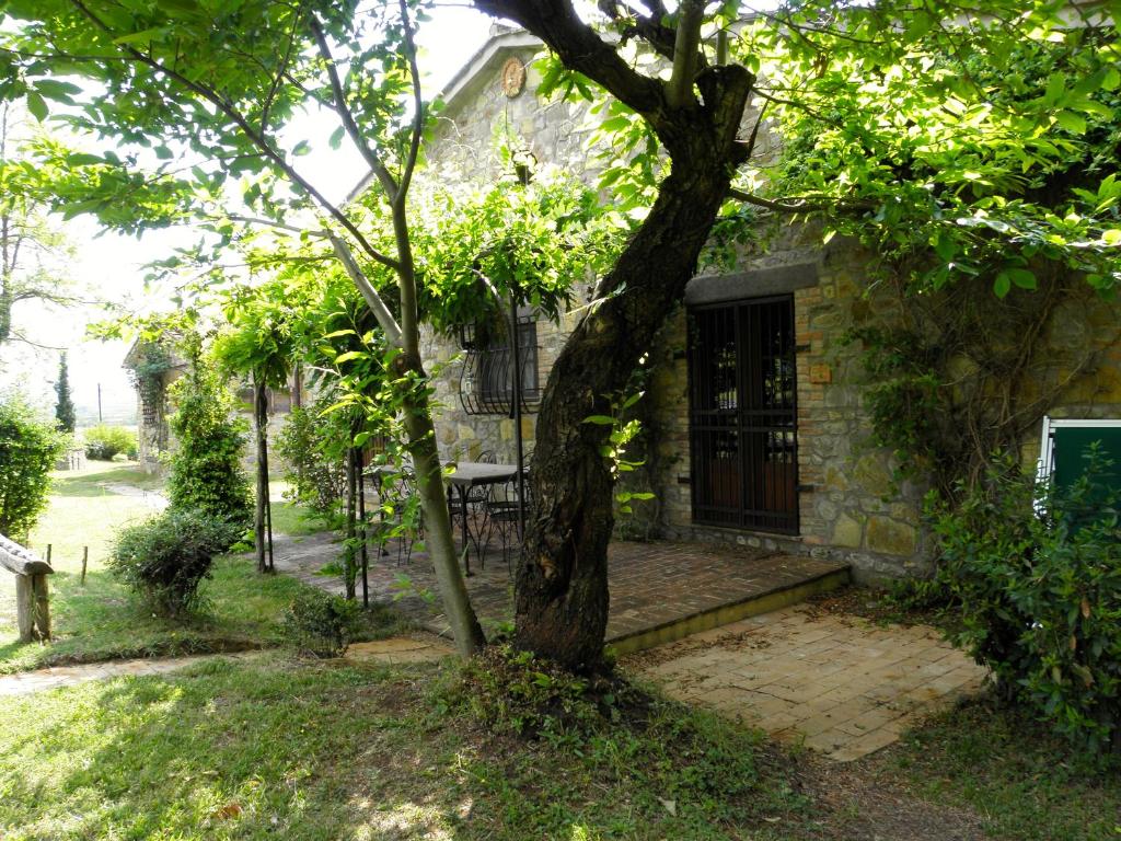 Zahrada ubytování Agriturismo Borgo Santa Maria