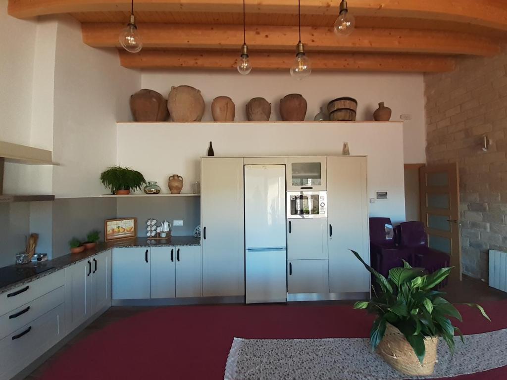 Kuchyň nebo kuchyňský kout v ubytování Casa La Foradada