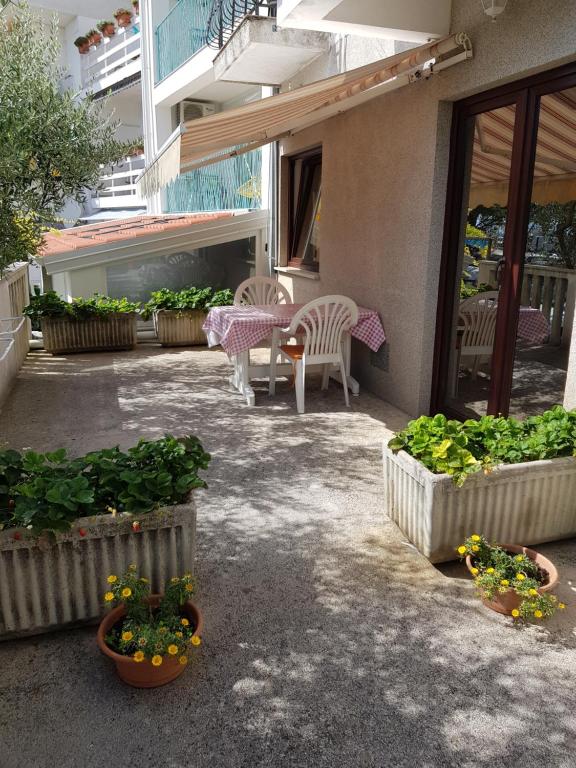 Zahrada ubytování Guest House Vukušić