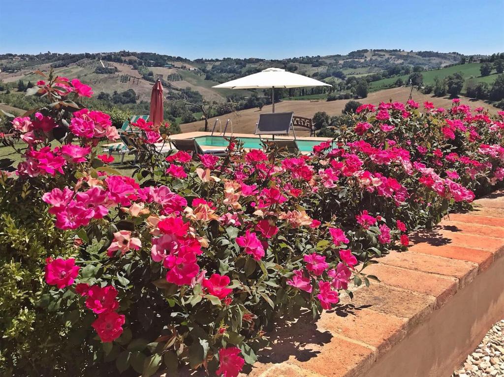Príroda v okolí of the bed and breakfast