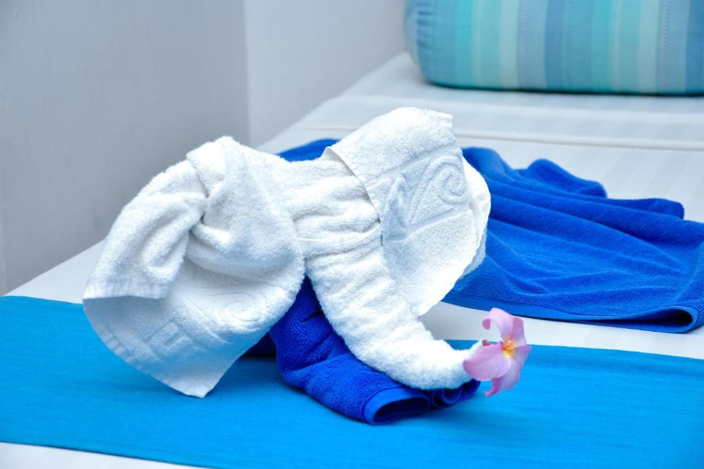 Nebula Residence - 1