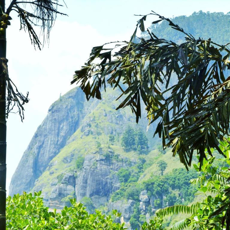 Madushanka Resort - 3