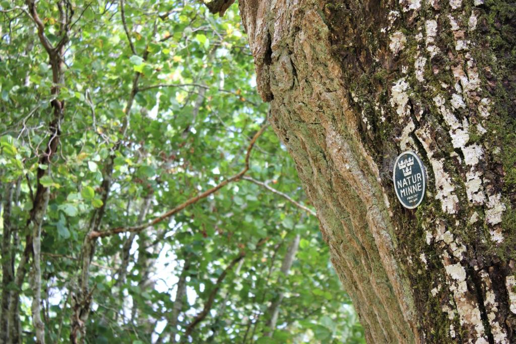 Certifikát, hodnocení, plakát nebo jiný dokument vystavený v ubytování Naturnära STUGA ULLARED