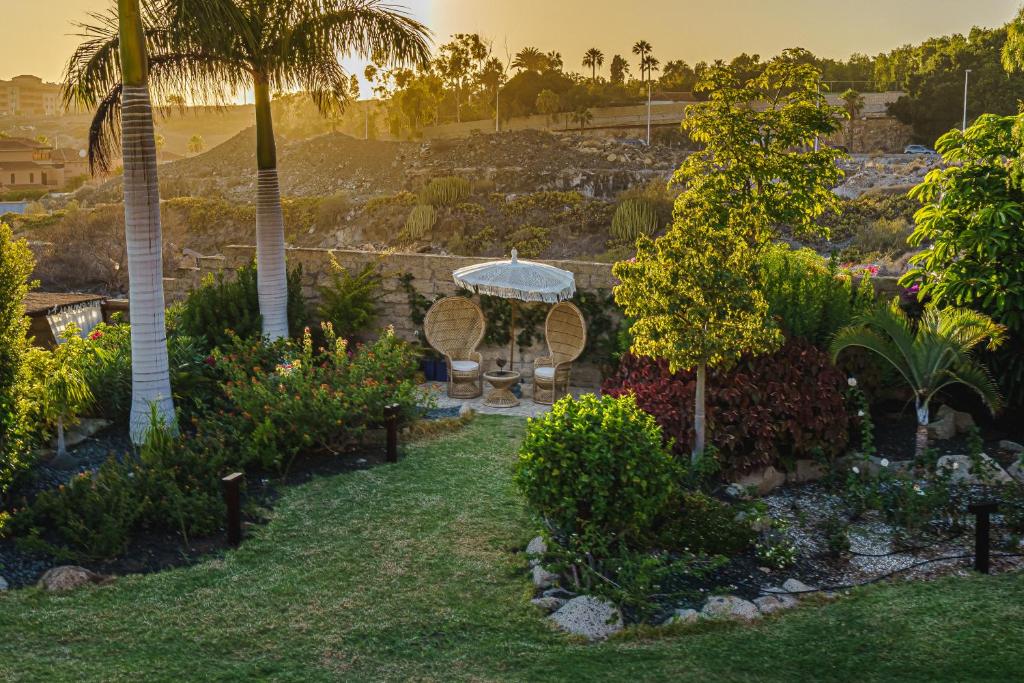 A garden outside Finca La Rosa de Los Vientos
