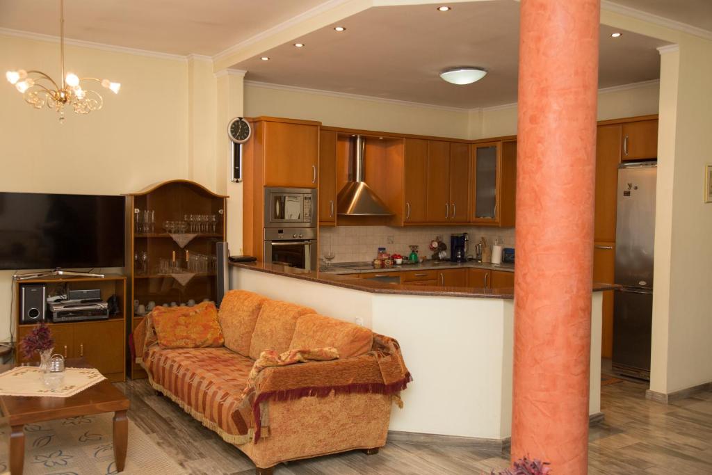 Kuchyň nebo kuchyňský kout v ubytování Veta's spacious central apartment