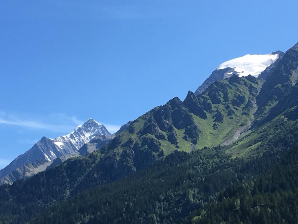 Gallery image of Les Pierres Blanches Mont Blanc in Les Contamines-Montjoie