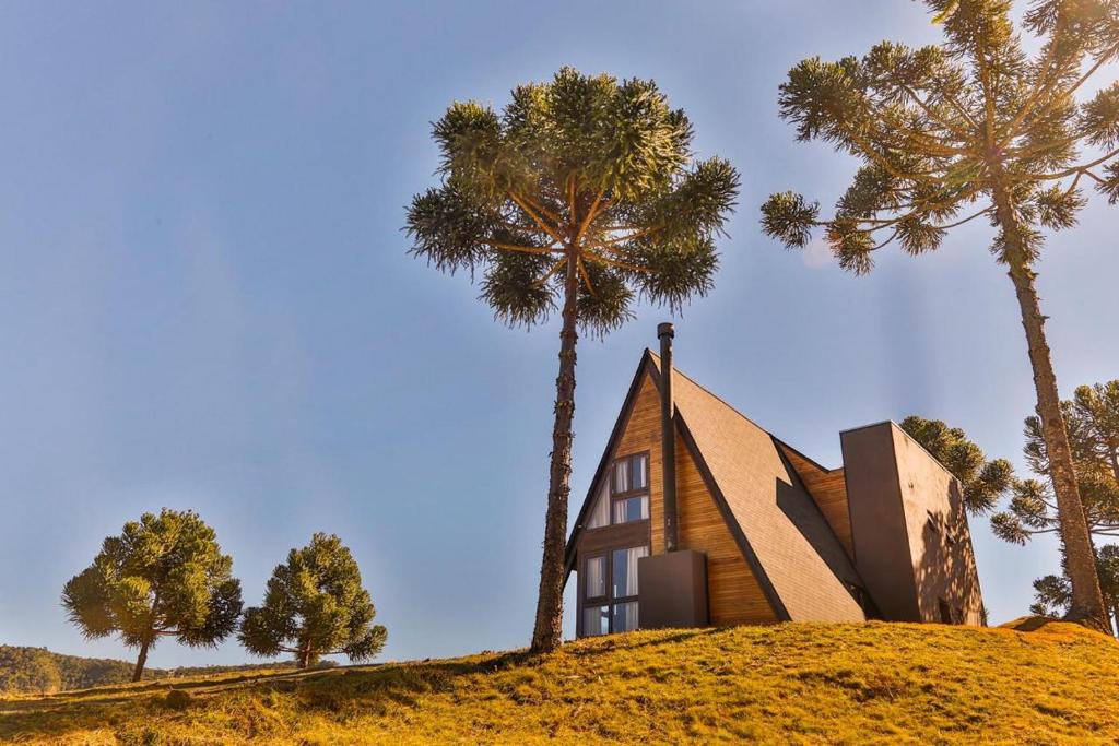 烏魯比西的住宿－La Mansarda Hotel，棕榈树山顶上的房子