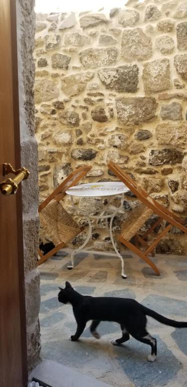 Domácí mazlíčci ubytovaní s hosty v ubytování Amaranti House n Art