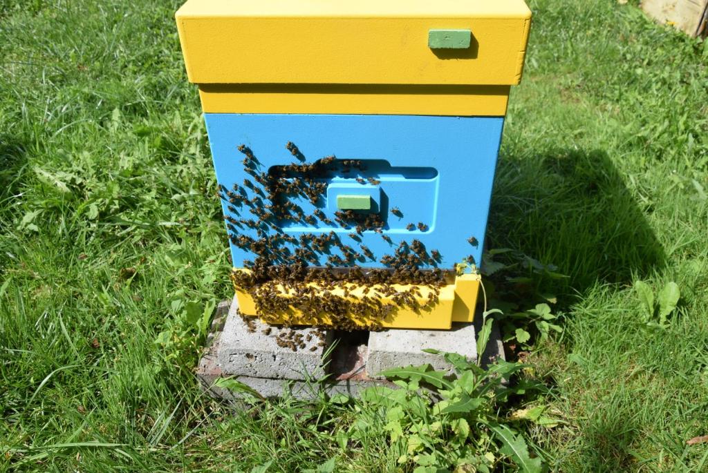Vonkajšia záhrada v ubytovaní Agroturystyka u Ani