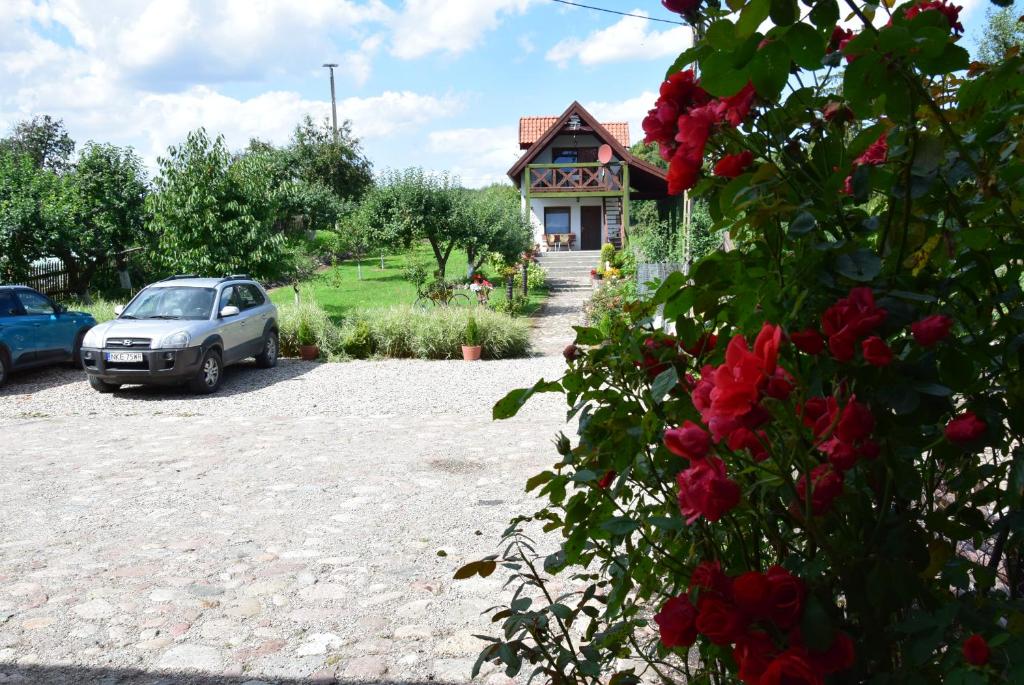 Vonkajšia záhrada v ubytovaní Agroturystyka u Ani