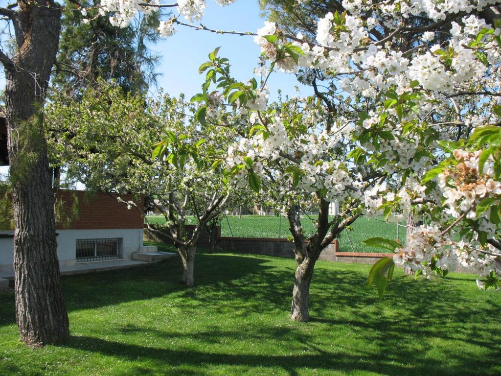 Vonkajšia záhrada v ubytovaní Bed & Breakfast Bompadre