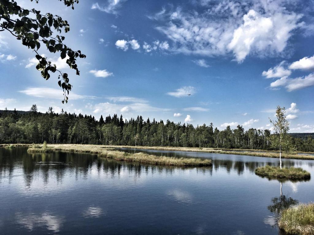Příroda nedaleko apartmánu