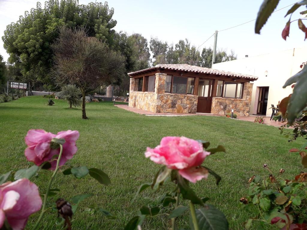 ポルト・トッレスにあるAgriturismo Quattro Moriのピンクのバラが目の前に広がる庭のある家