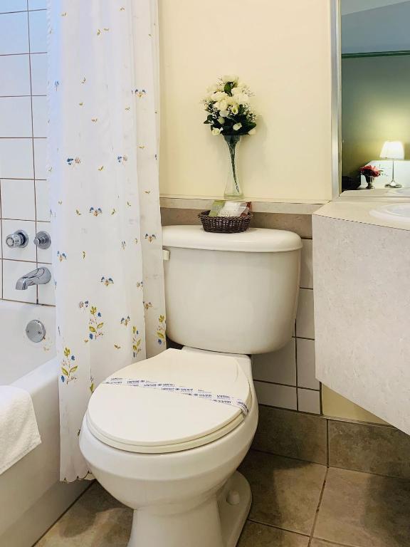 Koupelna v ubytování Motel La Cheminée