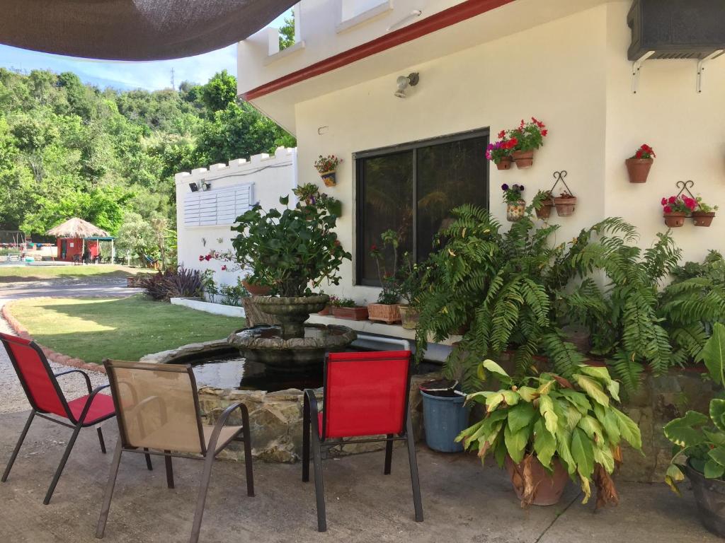 Zahrada ubytování Villa Vassallo