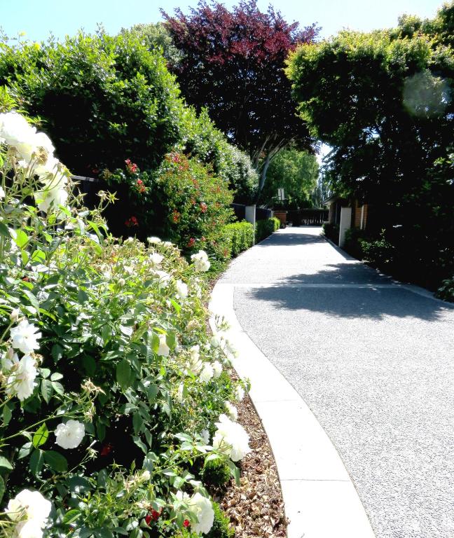 Maples on Harewood - Resim 26