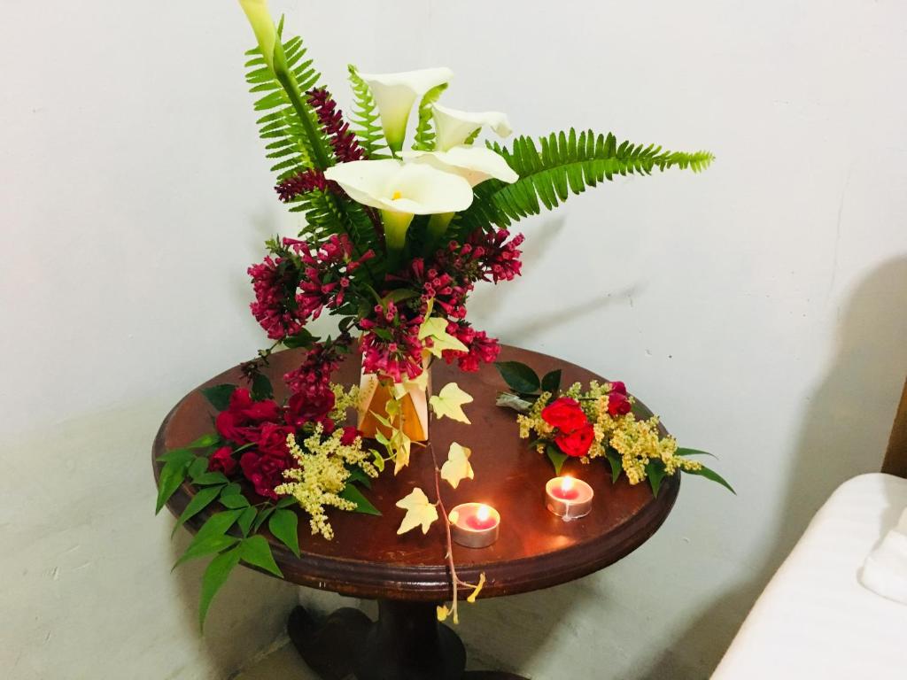 Golden King Guest - 8