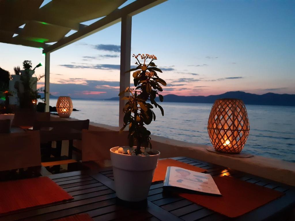 Příroda nedaleko apartmánu