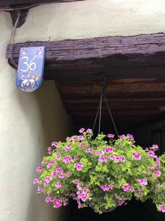 Huna’gîte – photo 23
