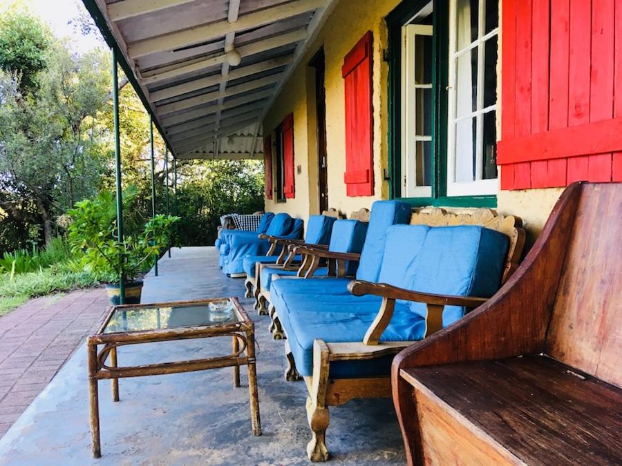 a row of benches sitting on the side of a building at Fairy Knowe Backpackers in Wilderness