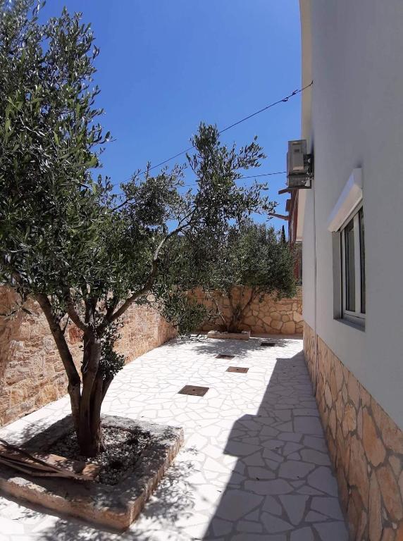 Zdjęcie z galerii obiektu House Sidro, Stari Grad w mieście Stari Grad