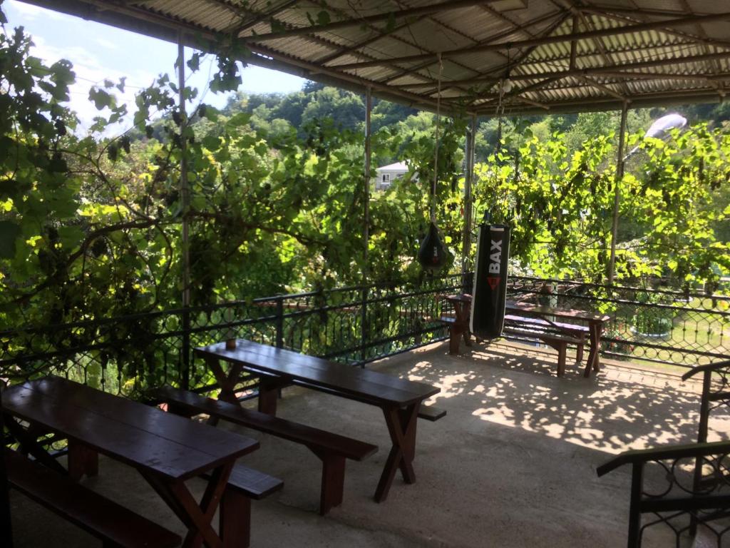 un patio con bancos y vistas a los árboles en Guesthouse at Oleg's Zolotoy Bereg, en Gudauta