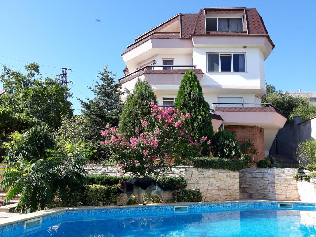 a villa with a swimming pool in front of a house at Vacation Home Seadream in Varna City