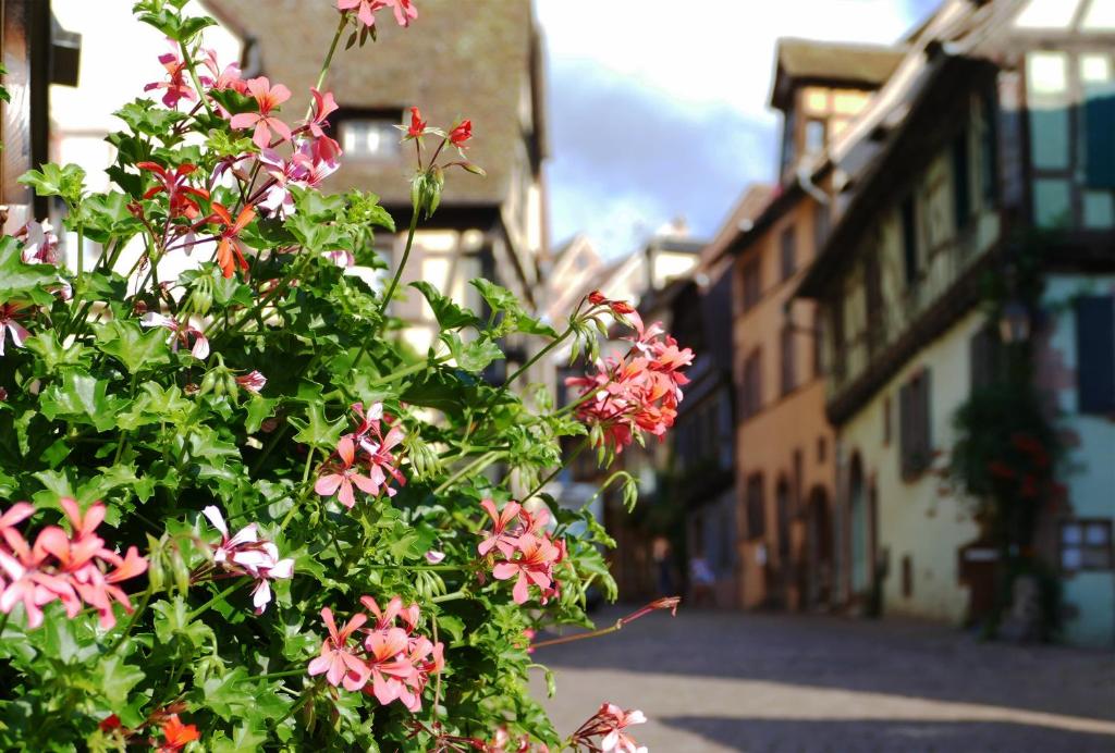 Gîte l'Agapé – photo 10