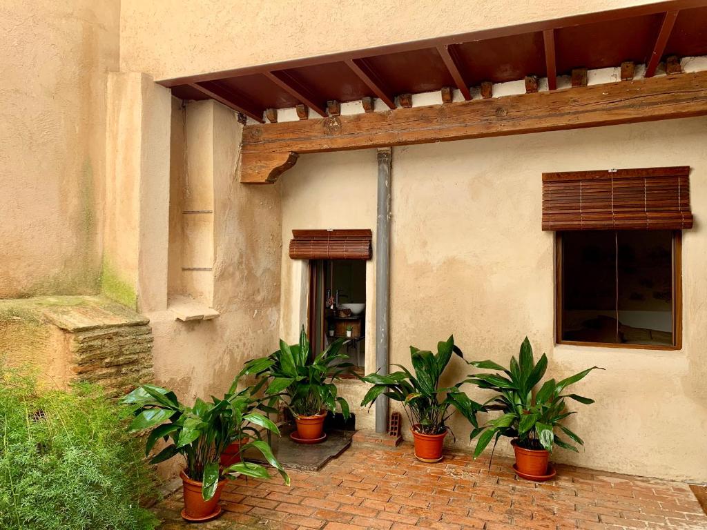 a group of plants sitting outside of a building at El Apartamento de la Yaya in Toledo