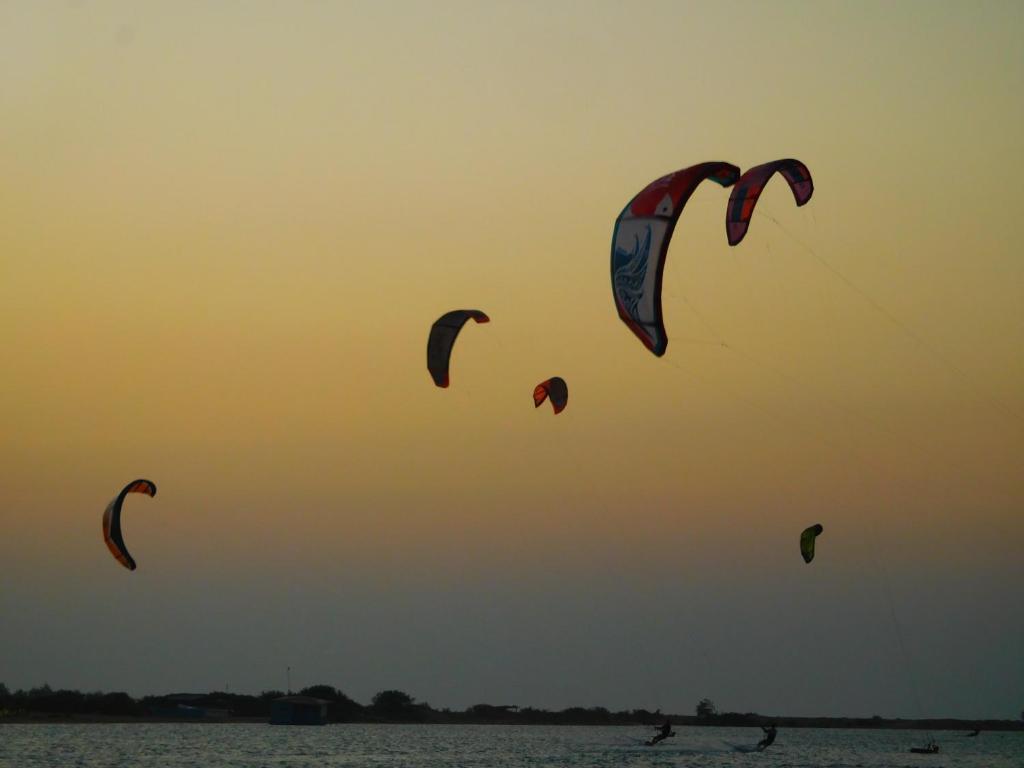 Hosté ubytování Blue Whale Resort & Kite Surfing