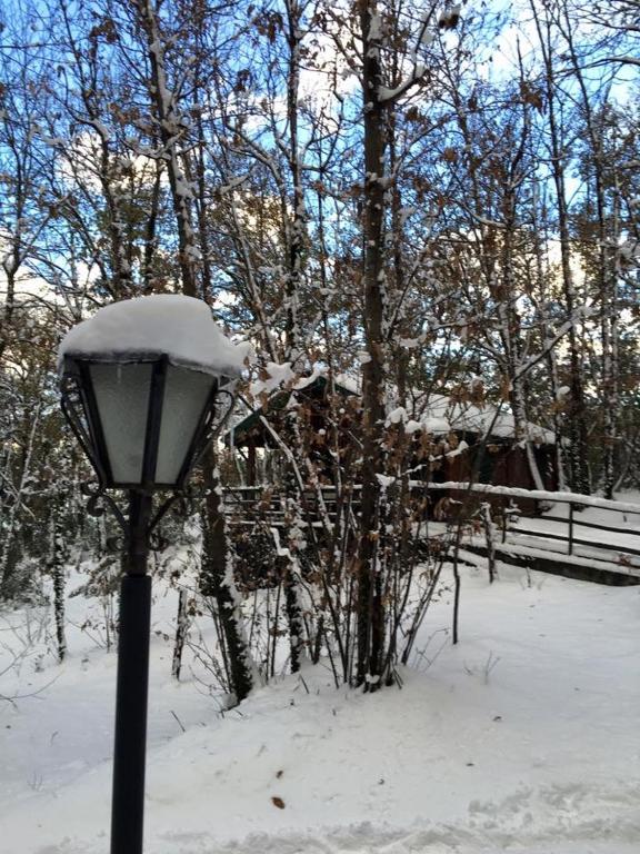 CHALET ETNA MILO during the winter
