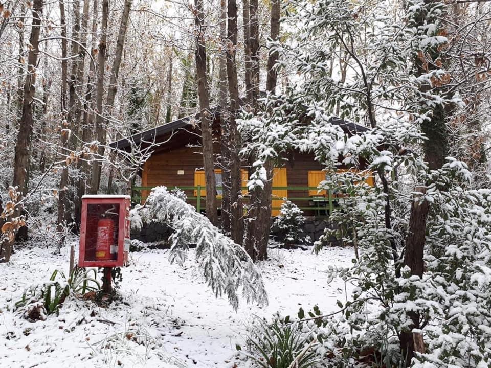 CHALET ETNA MILO during the winter