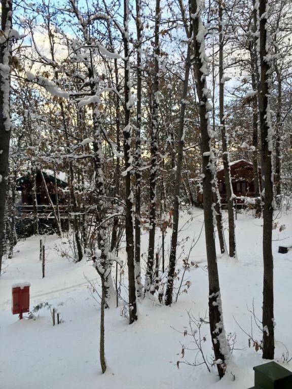 CHALET ETNA MILO during the winter