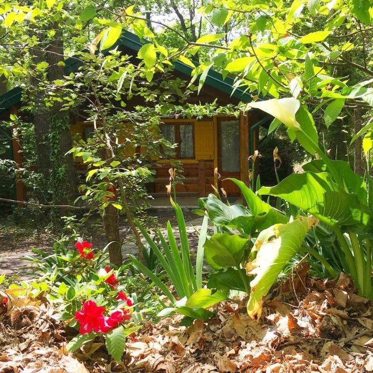A garden outside CHALET ETNA MILO