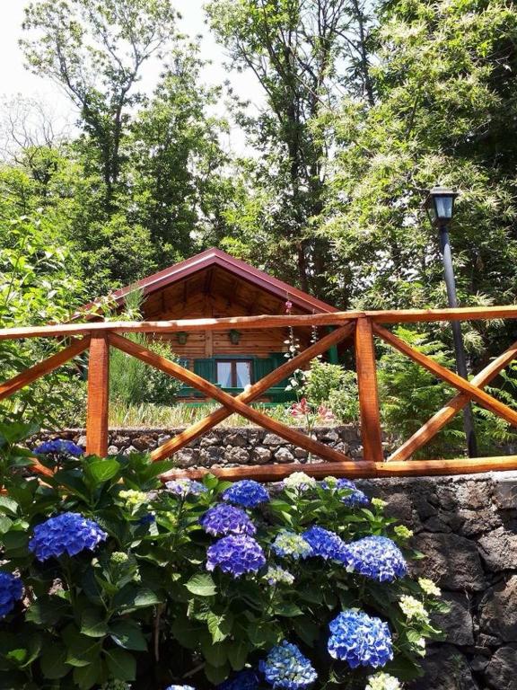 A garden outside CHALET ETNA MILO
