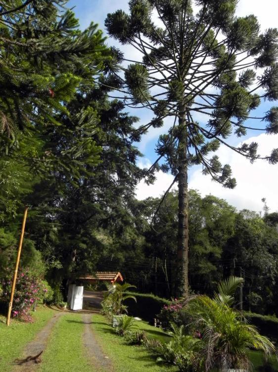 Pousada Bramasole