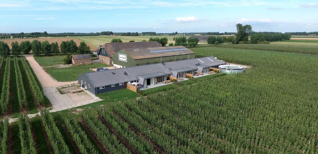 Hoeve Oude Tol - отзывы и видео