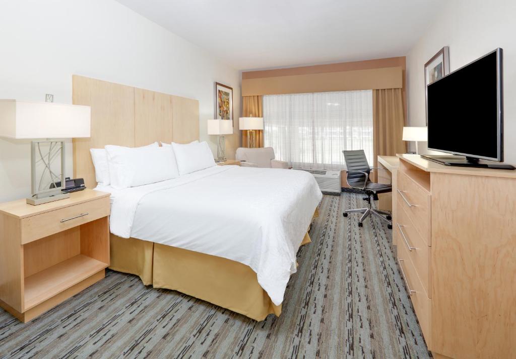 Holiday Inn Express & Suites San Antonio - Brooks City Base by IHG - King Suite - Toegang Voor Slechthorenden