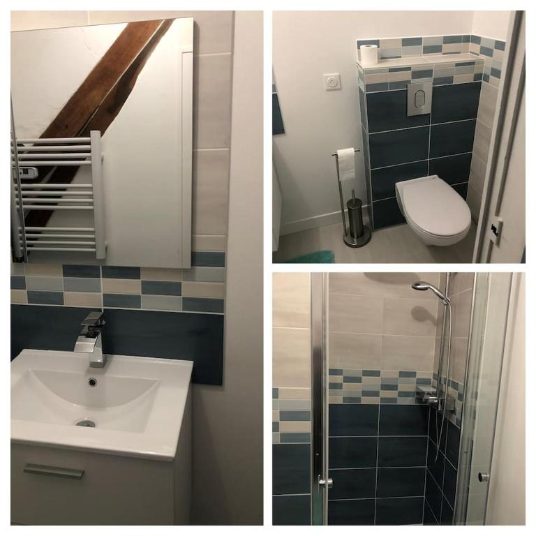 three pictures of a bathroom with a sink and a toilet at Maison de ville 3 chambres 3 salles d&#39;eau parking 2 places in Romorantin