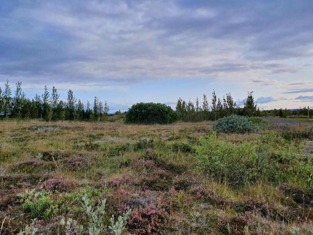 Paesaggio naturale nelle vicinanze della casa vacanze