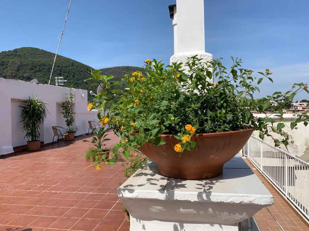 Nespecifikovaný výhled na hory nebo výhled na hory při pohledu z bed and breakfast