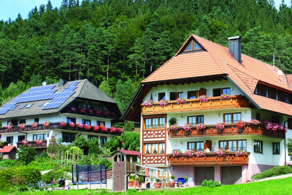 Deux maisons avec des panneaux solaires en haut dans l'établissement Schlosshof - der Urlaubsbauernhof, à Elzach