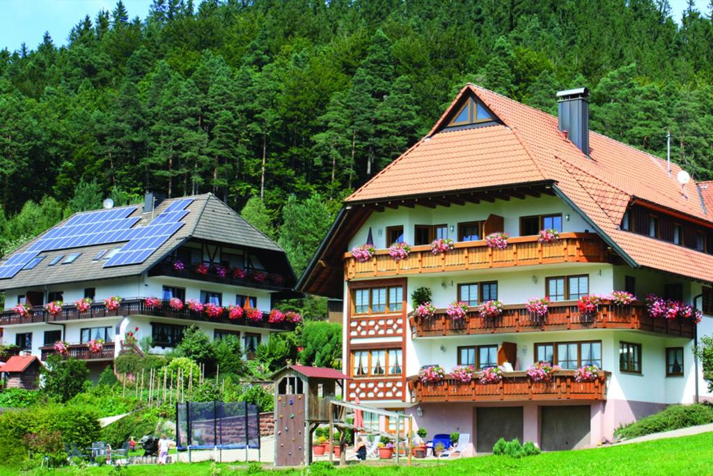 dos casas con paneles solares encima de ellas en Schlosshof - der Urlaubsbauernhof en Elzach