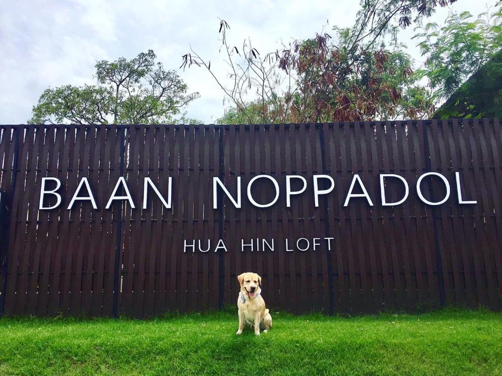 Domácí mazlíčci ubytovaní s hosty v ubytování Baan Noppadol Hua Hin Loft
