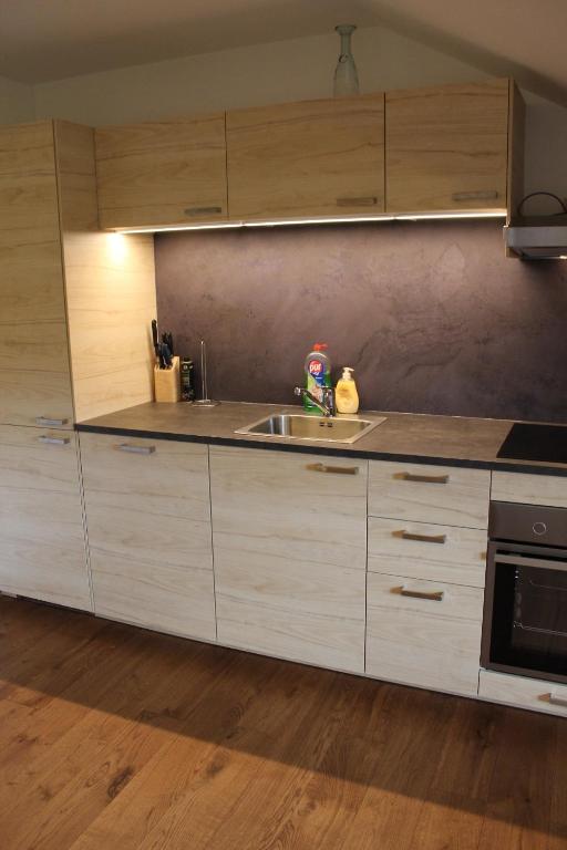 Kuchyň nebo kuchyňský kout v ubytování Apartmán Pivoňka