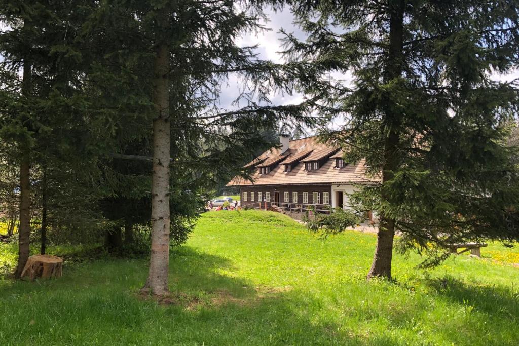 een huis in het midden van een veld met bomen bij Chata Rovina in Hartmanice