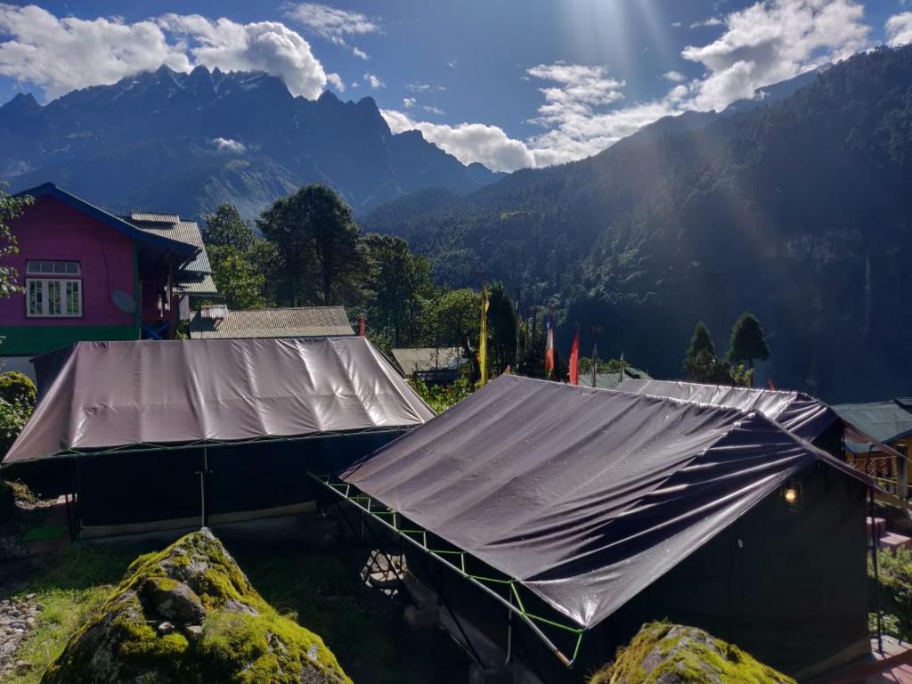 Příroda nedaleko luxury tent