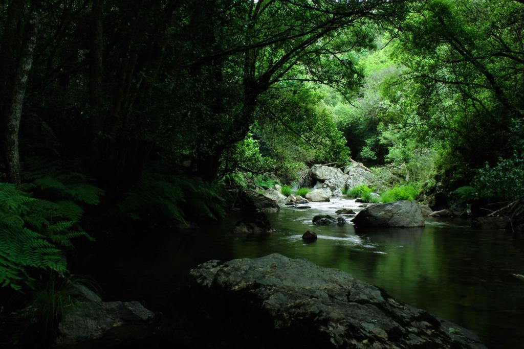 Paisagem natural perto do hotel
